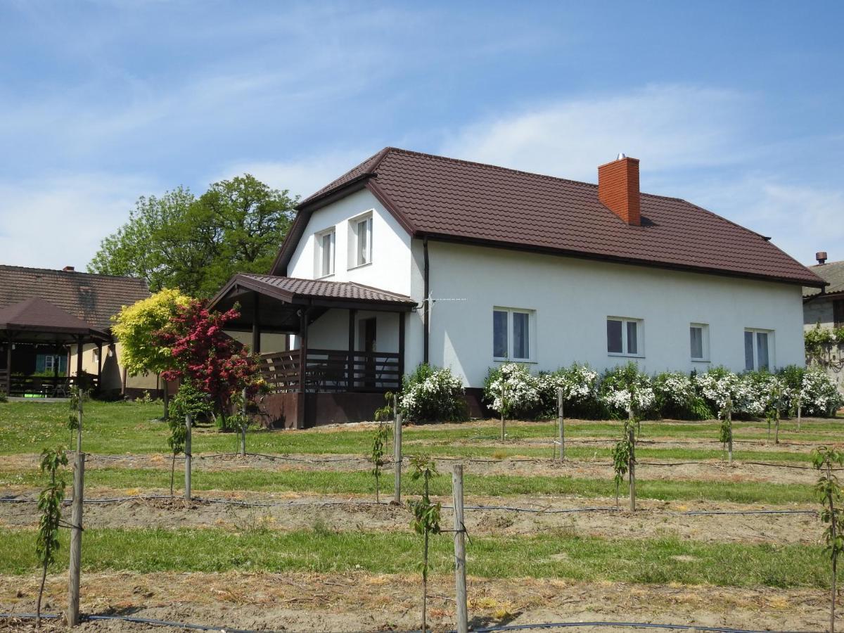 Villa Owocowy Raj Nad Zalewem Modla Krolewska Exterior foto
