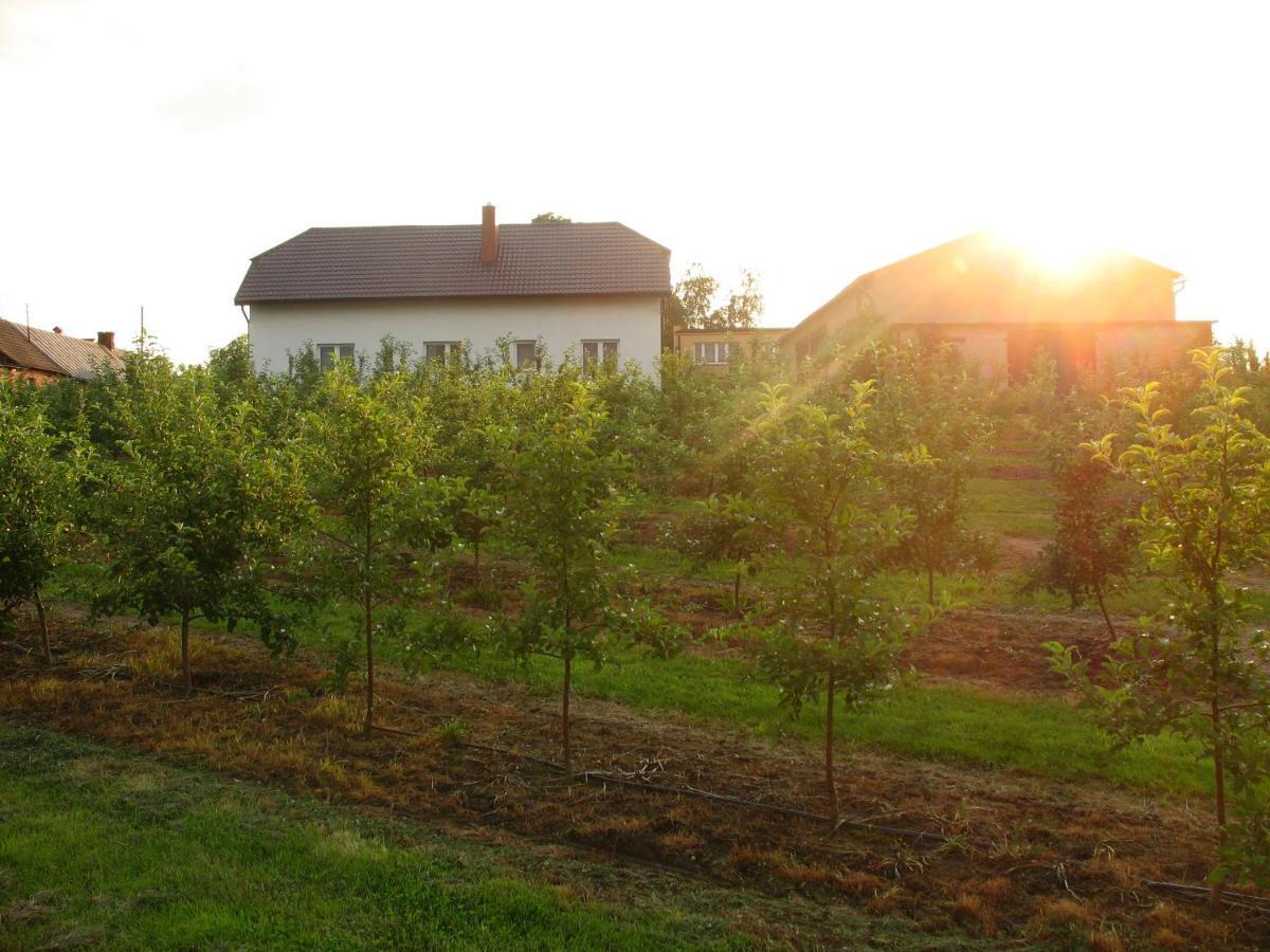 Villa Owocowy Raj Nad Zalewem Modla Krolewska Exterior foto